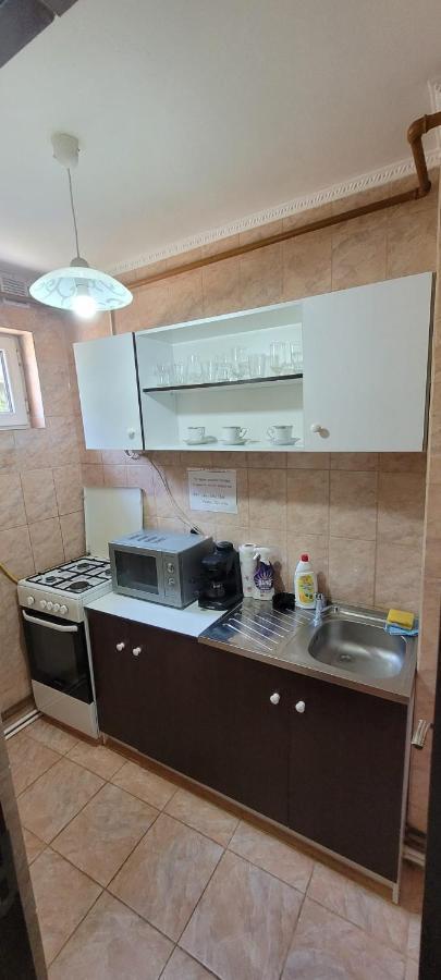 Ferienwohnung Flora Apartament Satu Mare Exterior foto