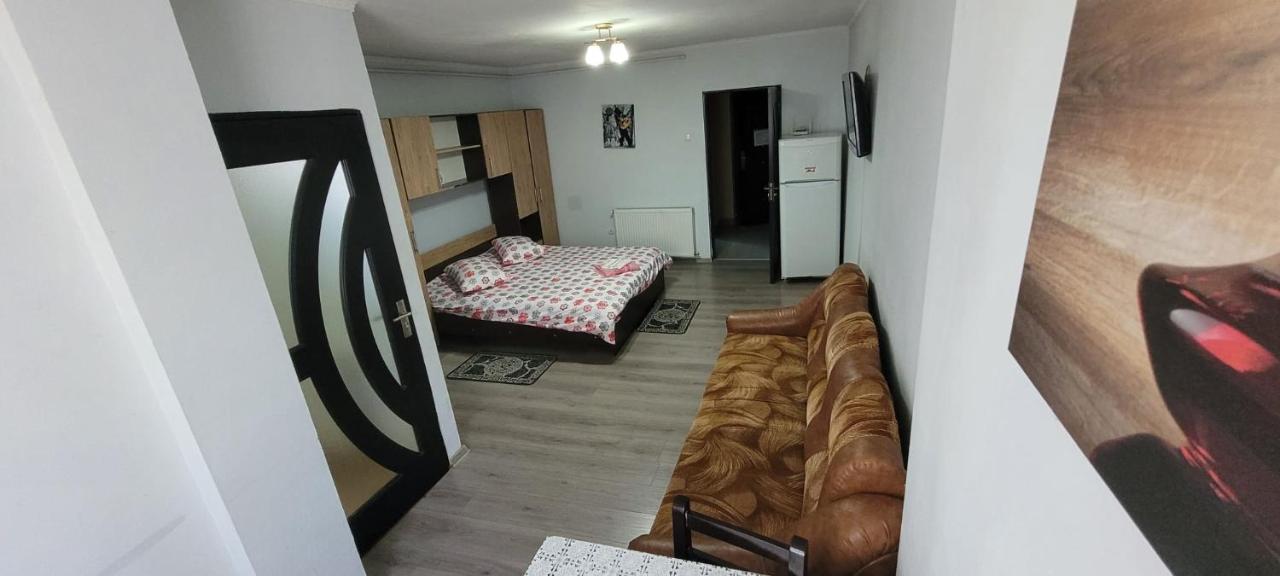Ferienwohnung Flora Apartament Satu Mare Exterior foto